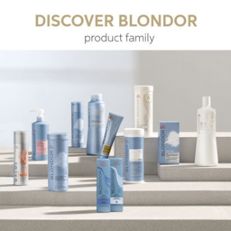 Blondor Freelights Developer 12% 1L