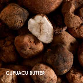 Cupuacu butter: one of weDo natural ingredients