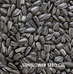 Sunflower seed oil: one of weDo natural ingredients 