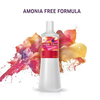 Color Touch Emulsion 4% 60ml